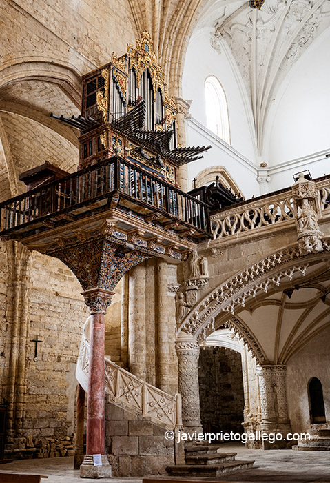 TÁMARA DE CAMPOS (Palencia)