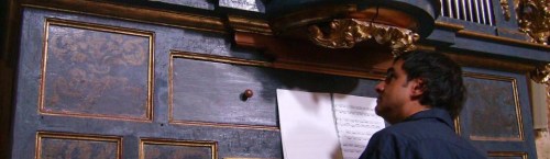 Luca Purchiaroni, organista