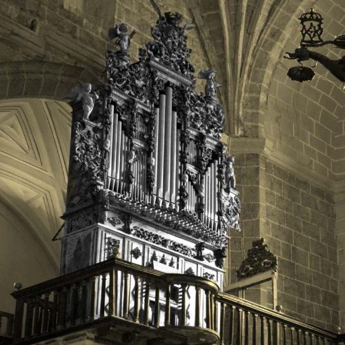 Tordesillas, Iglesia de Santa María, órgano